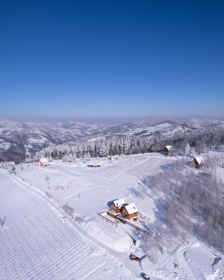 Cortina Resort Ivanjica Eksteriør billede